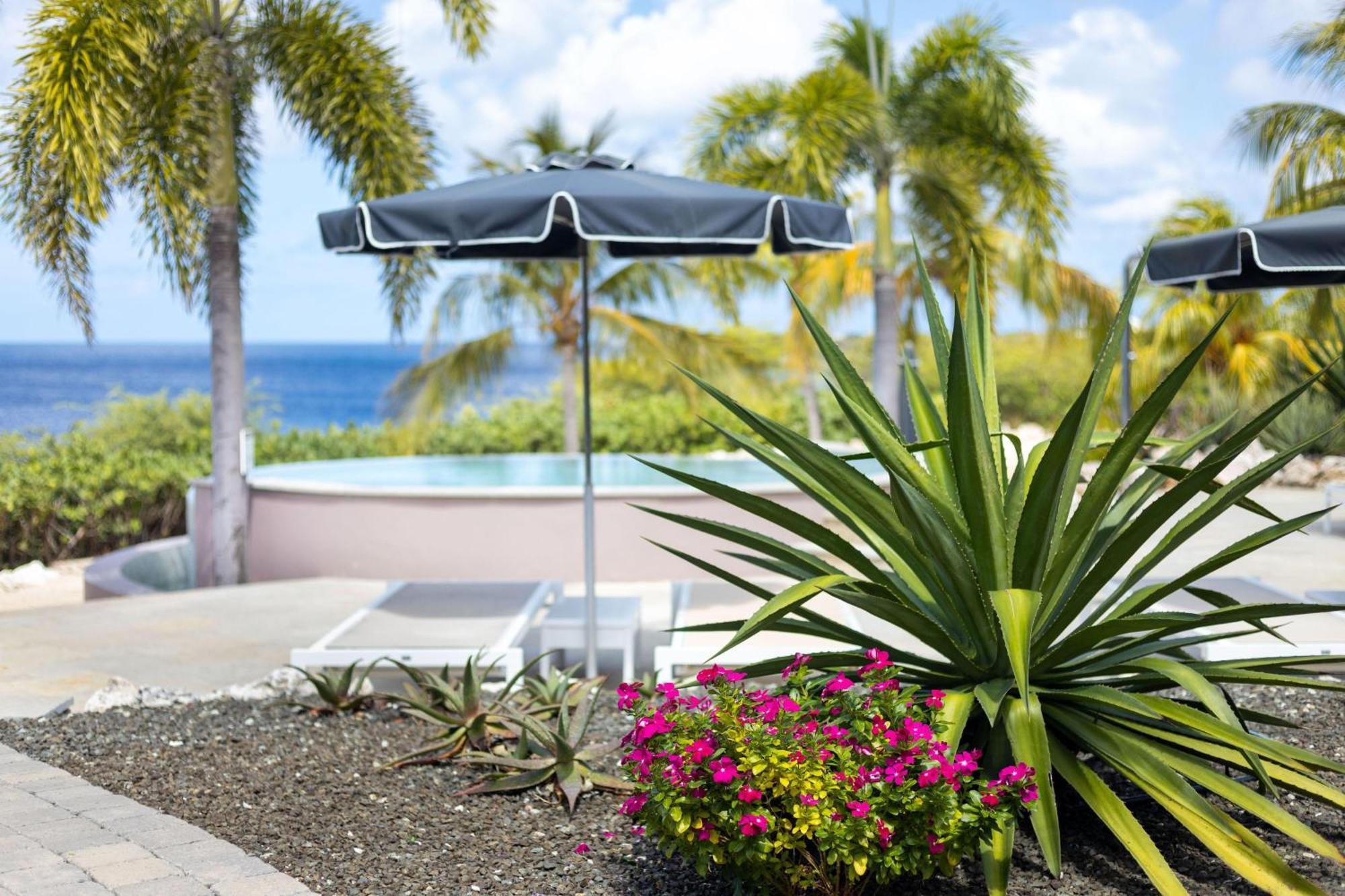 Coral Estate Luxury Resort Willibrordus Екстер'єр фото